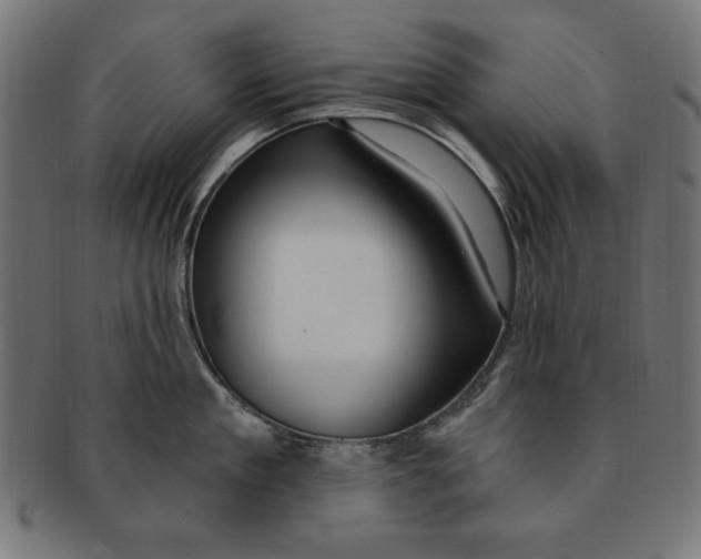 X0000091190909200709061011