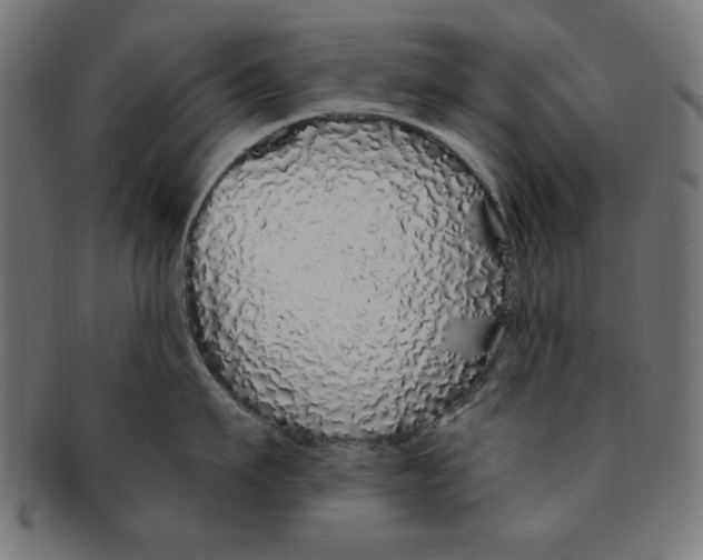 X0000091190911200709061011