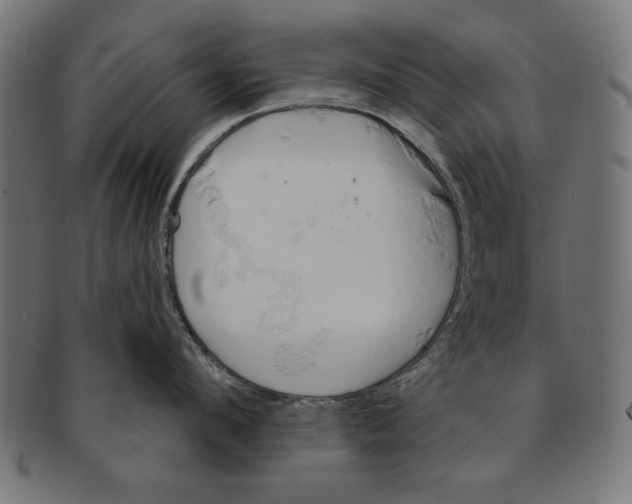 X0000091190912200709061011