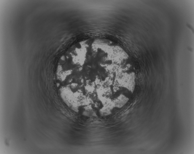 X0000091190913200709061010