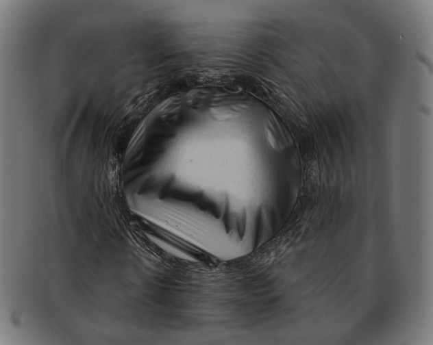 X0000091190914200709061010