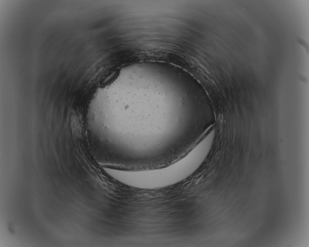 X0000091190915200709061010