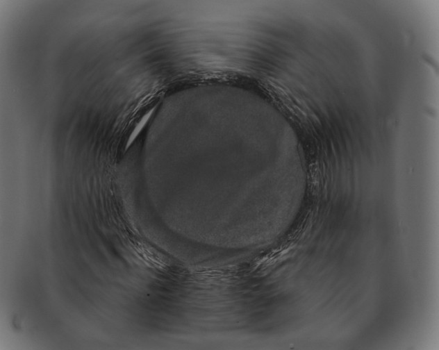 X0000091190916200709061010