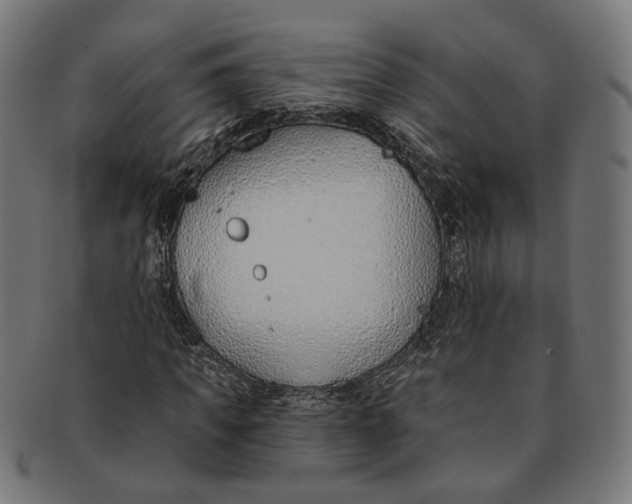 X0000091190917200709061010