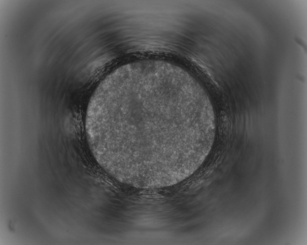 X0000091190918200709061010