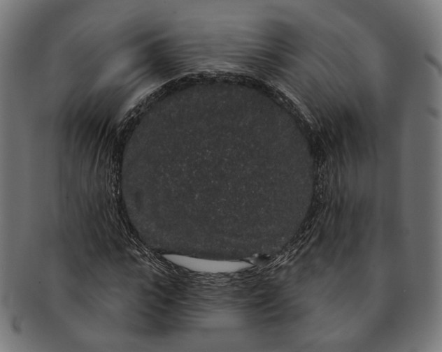 X0000091190919200709061010