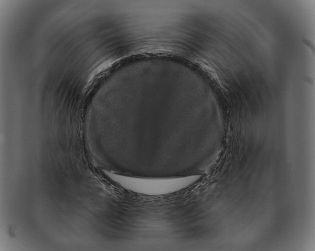 X0000091190920200709061010