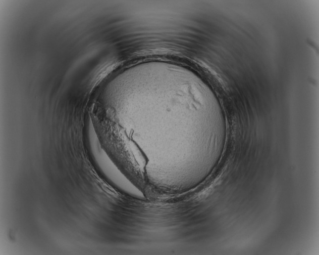 X0000091190921200709061010