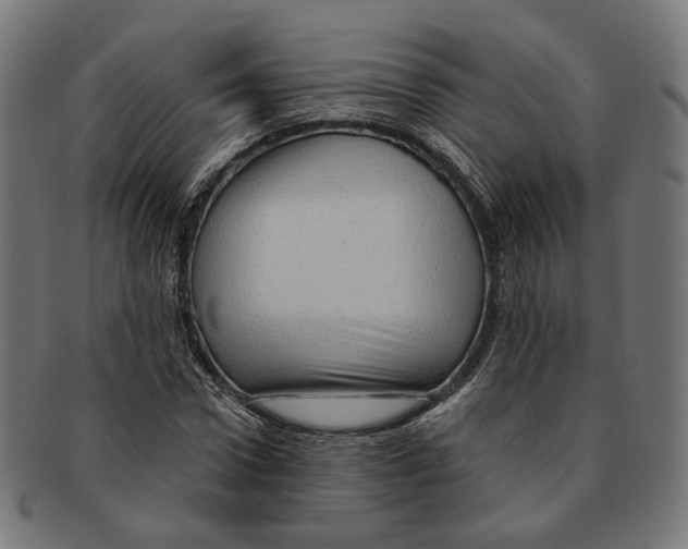 X0000091190922200709061011