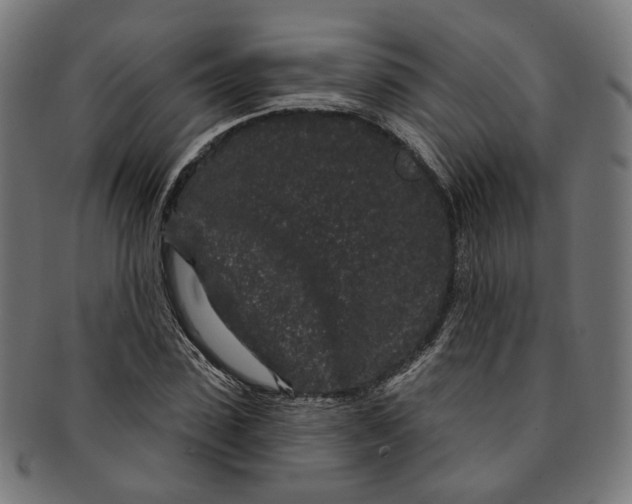 X0000091190923200709061011