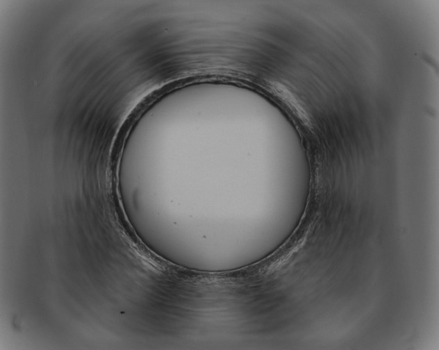 X0000091190924200709061011