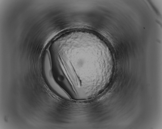 X0000091190925200709061011