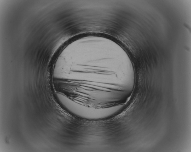 X0000091190926200709061011