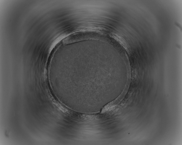 X0000091190928200709061011