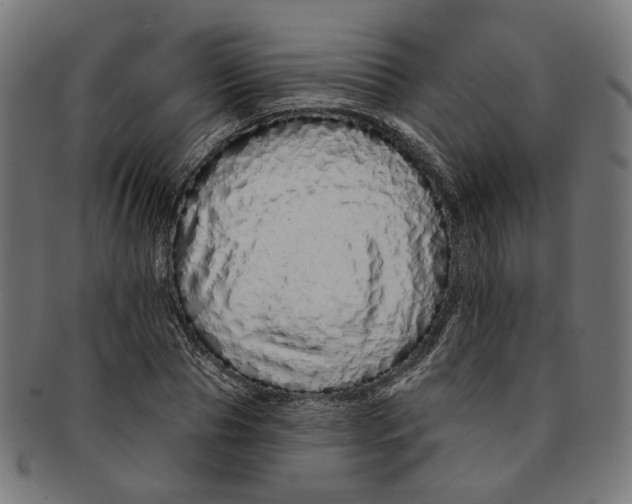 X0000091190929200709061011