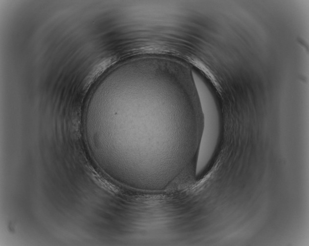 X0000091190930200709061011