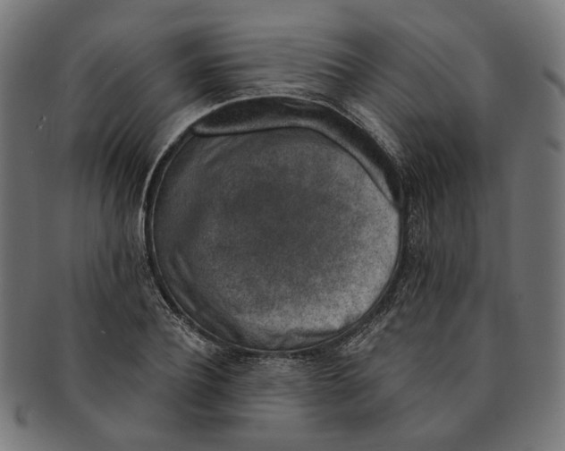 X0000091190932200709061011