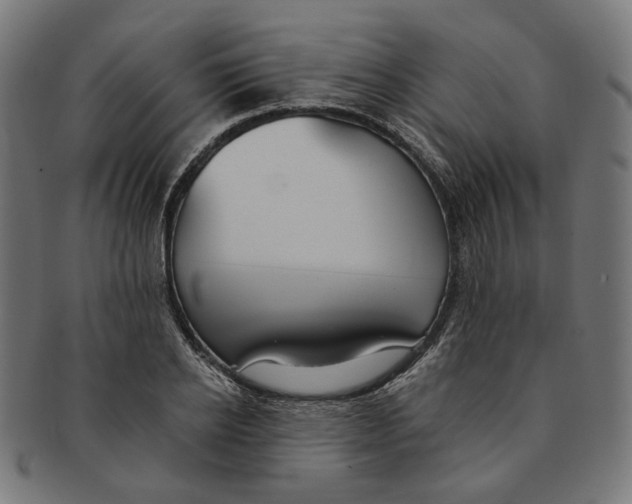 X0000091190934200709061011