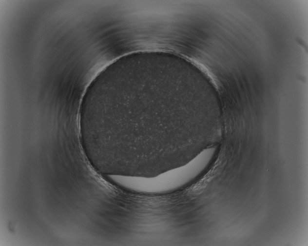 X0000091190935200709061011