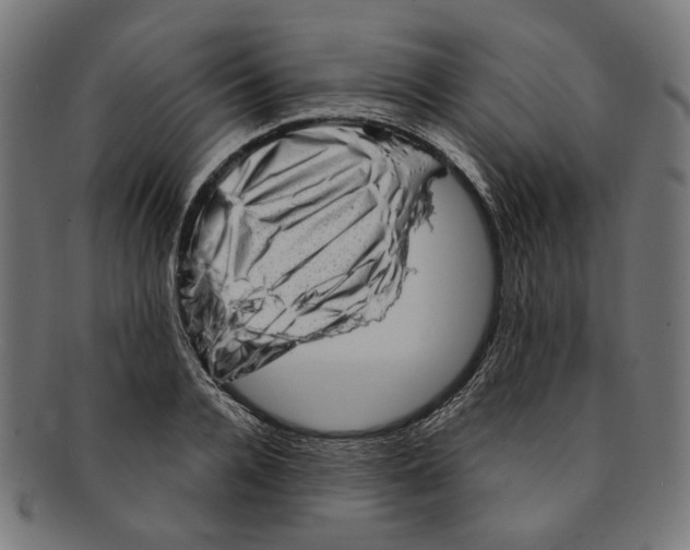 X0000091190936200709061011