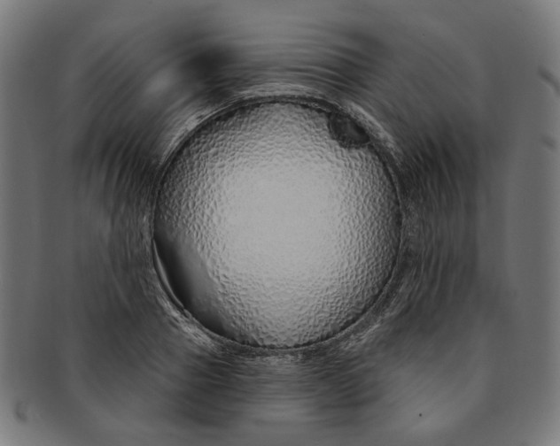 X0000091190937200709061011