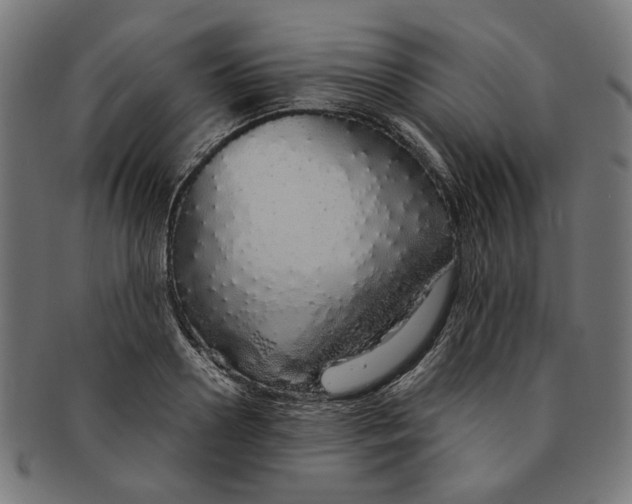 X0000091190938200709061011