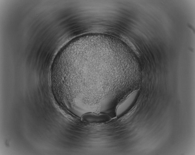 X0000091190939200709061011