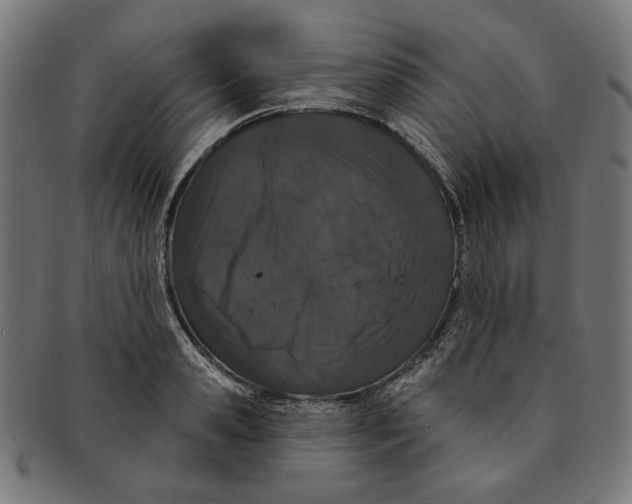 X0000091190941200709061011