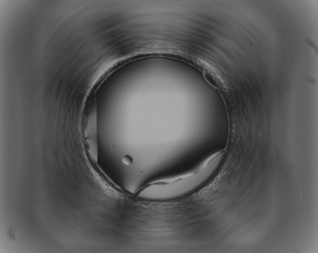 X0000091190942200709061011