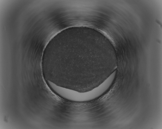 X0000091190943200709061011