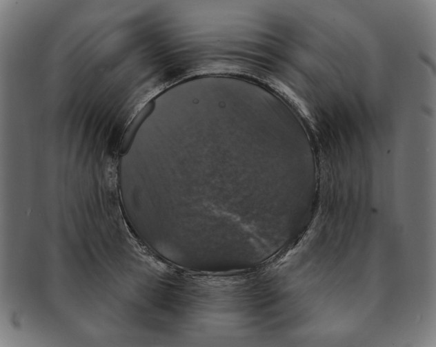 X0000091190945200709061011