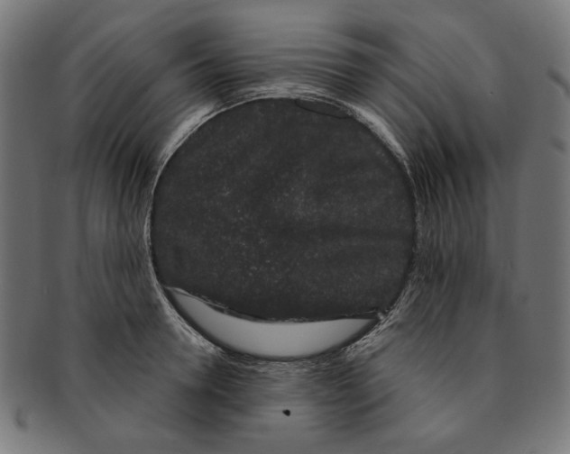 X0000091190946200709061011