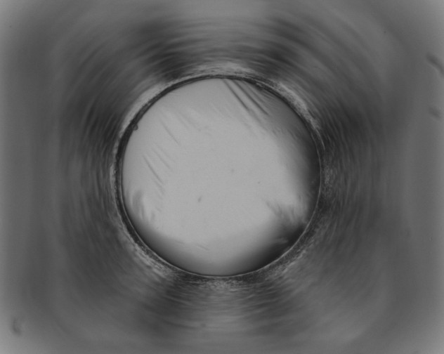 X0000091190947200709061011