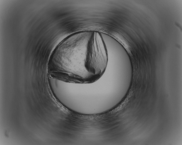 X0000091190948200709061011