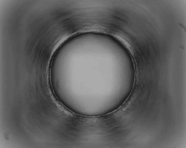 X0000091190949200709061011