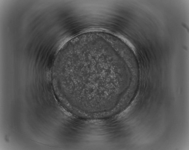 X0000091190953200709061011