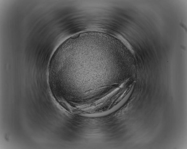 X0000091190955200709061011