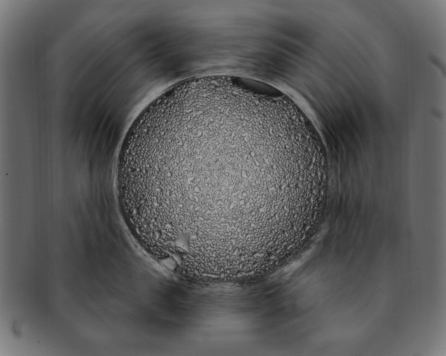 X0000091190957200709061011