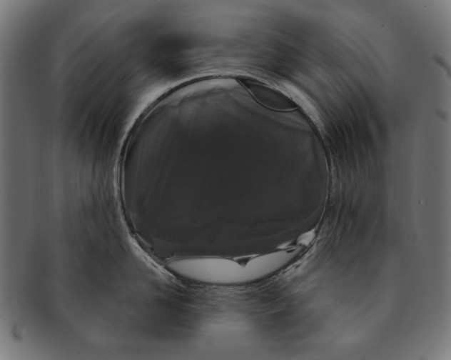 X0000091190958200709061011