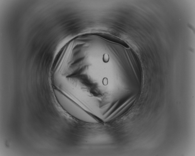 X0000091190960200709061011