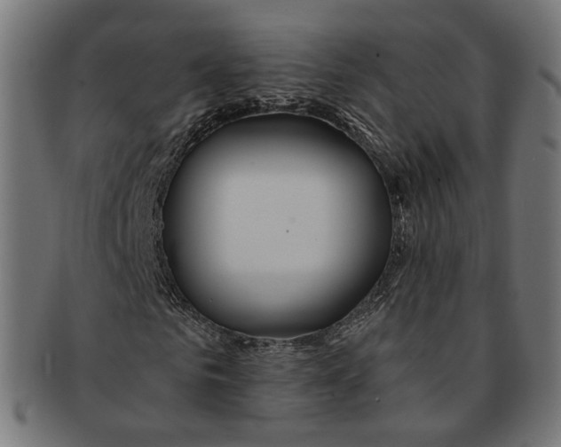 X0000091190961200709061010