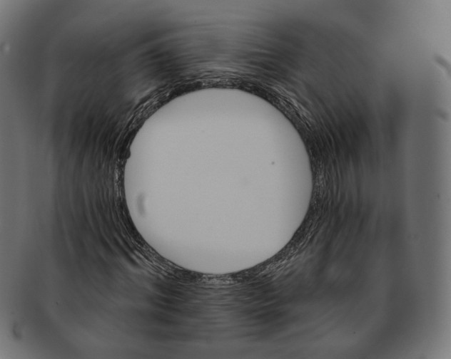 X0000091190964200709061010