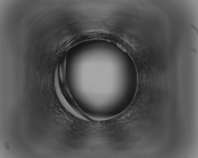 X0000091190965200709061010