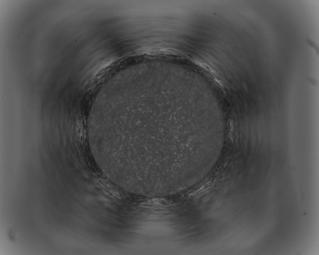 X0000091190966200709061010