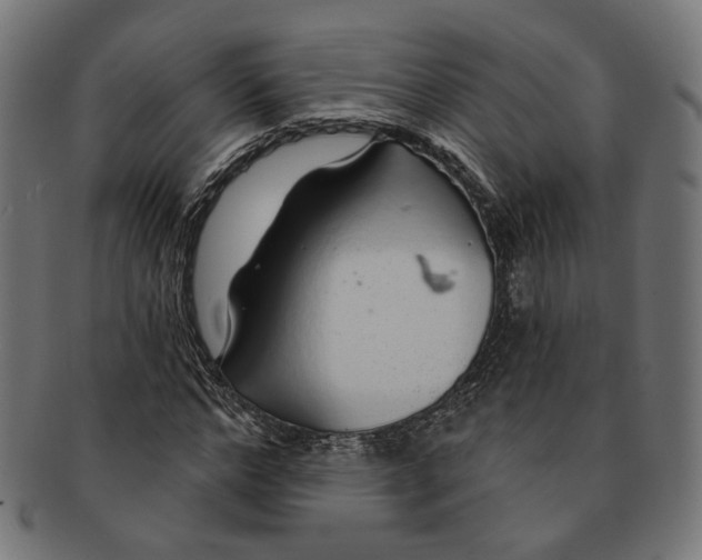 X0000091190968200709061010