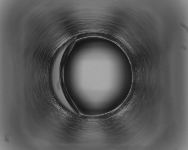 X0000091190969200709061010