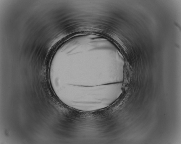 X0000091190971200709061010