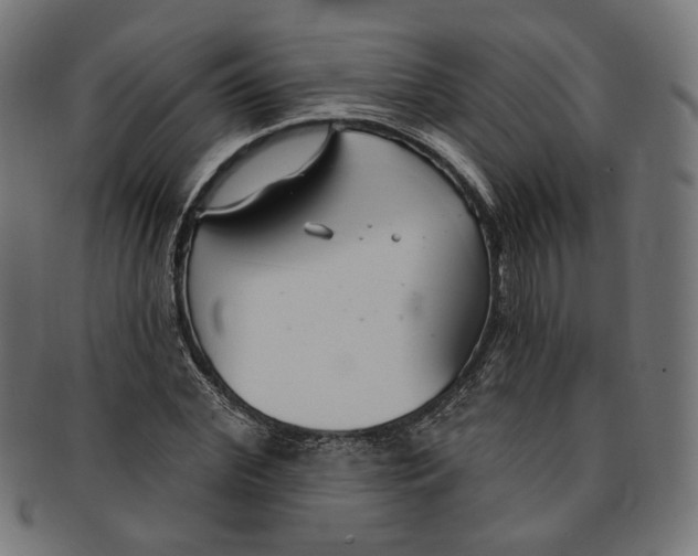 X0000091190972200709061010