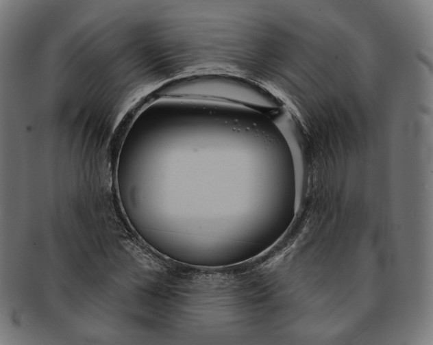 X0000091190973200709061010