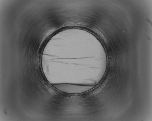 X0000091190974200709061010